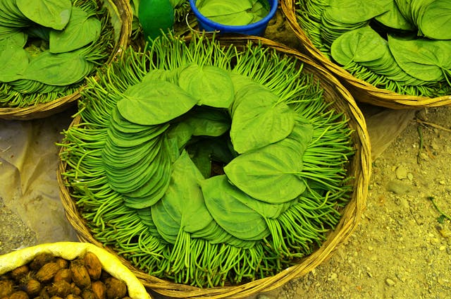 Paan (Betel Leaf)