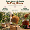 How Jamun honey is made?