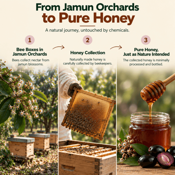 How Jamun honey is made?