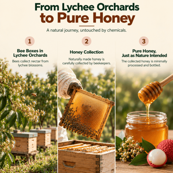 How Lychee honey is made?